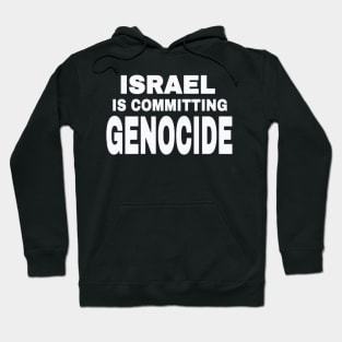 Israel IS Committing Genocide - White - Front Hoodie